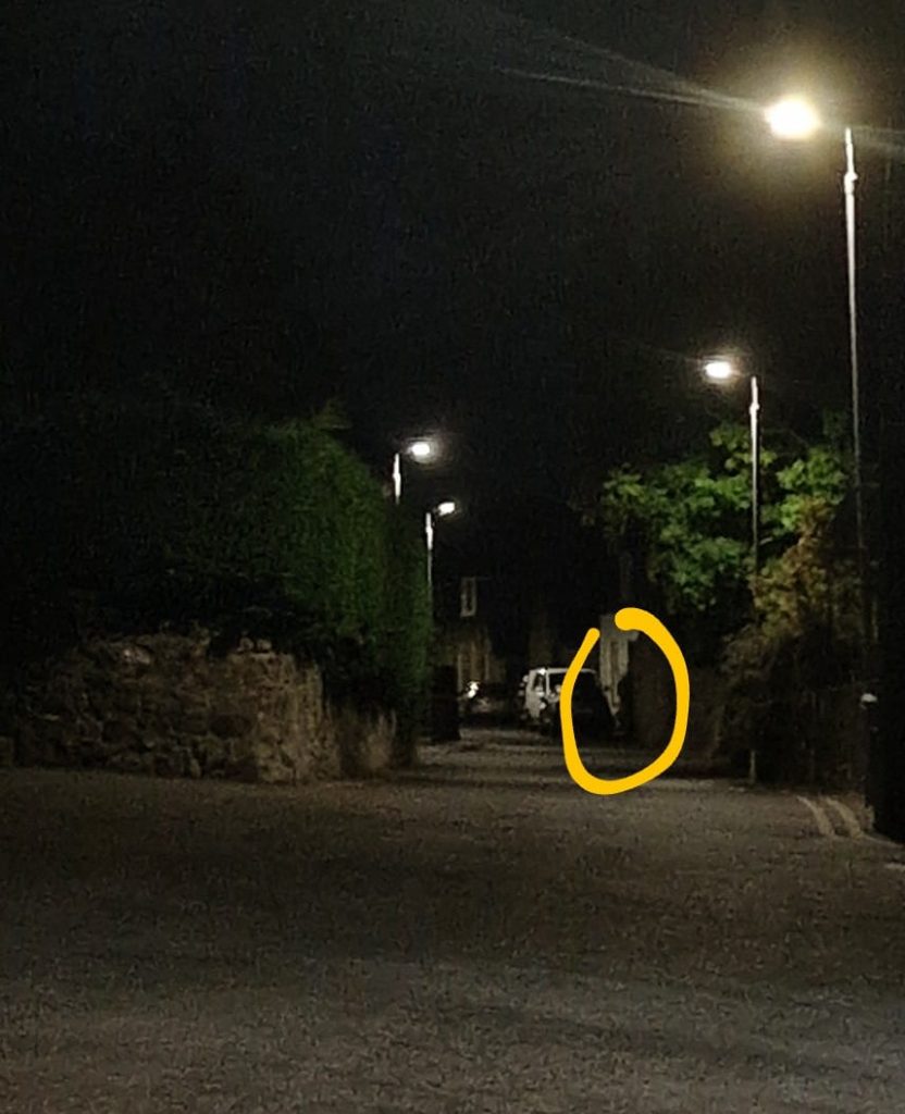 460840501_1037468384832328_5469696086472882433_n